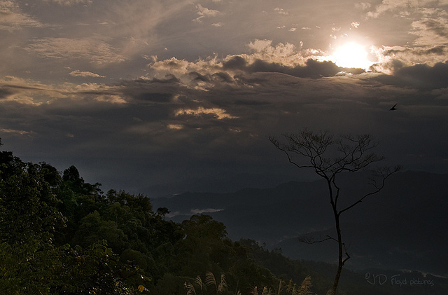 mountain sunrise
