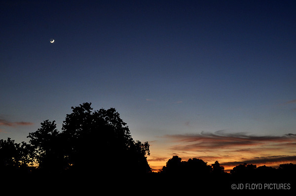 _DSC7560-600 moon