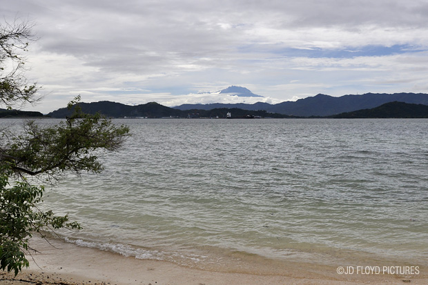 a_DSC6967-620