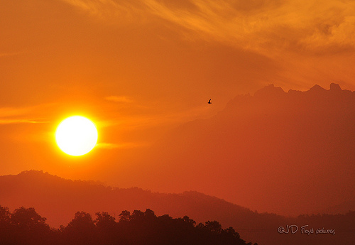 DSC_0480-800