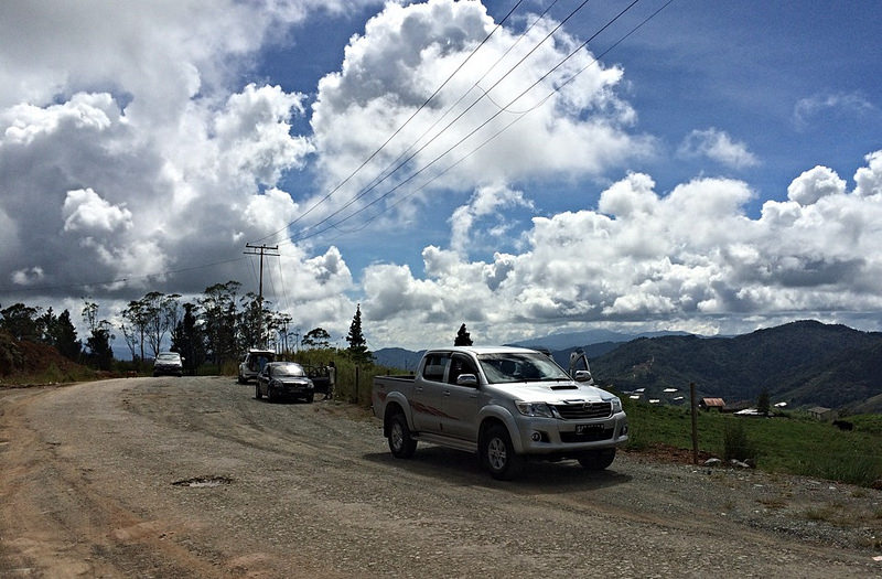 Trip to Desa Cattle